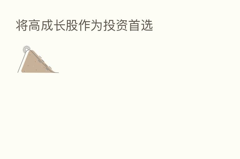 将高成长股作为投资首选