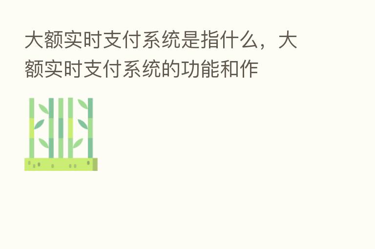 大额实时支付系统是指什么，大额实时支付系统的功能和作