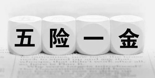 五险一金’中的五险是哪五种 ?
