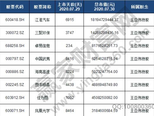 王亚伟持股明细一览,王亚伟持股是什么意思