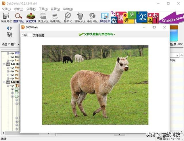 卸载的软件怎么恢复,种方法帮你恢复删除的文件