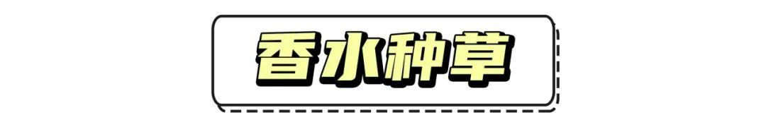 男士香水哪个牌子好,7款不踩雷的男生香水