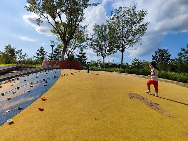 小米11PRO上市时间及价格（小米11pro发售价介绍）