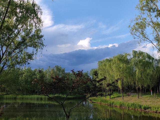 小米11PRO上市时间及价格（小米11pro发售价介绍）