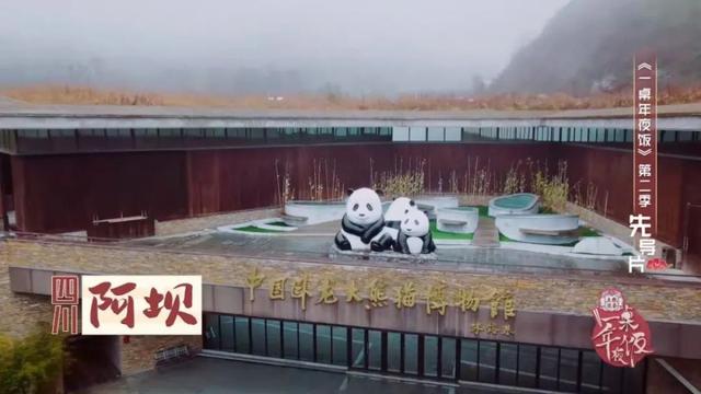 《一桌年夜饭2》发布先导片 致敬身边榜样人物