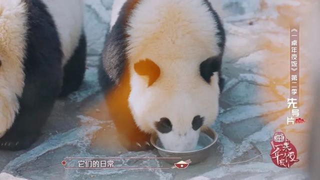 《一桌年夜饭2》发布先导片 致敬身边榜样人物
