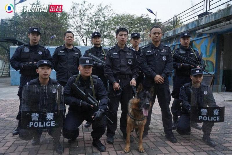 警犬微纪录片《了不起的它》今日上线 用纪录致敬无言卫士