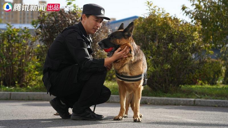 警犬微纪录片《了不起的它》今日上线 用纪录致敬无言卫士