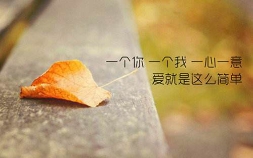 爱情人生哲理的句子，有关于爱情的哲理句子