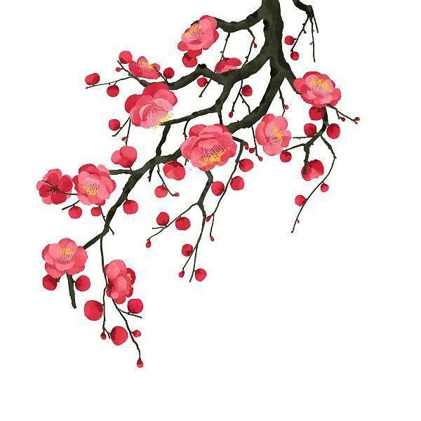 是花朵就要努力绽放：《人世间》的女性花语