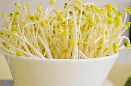 春天女性阴补阳好情况下 五种阴补阳好食材
