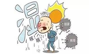 清明后湿气重 祛湿我有妙招