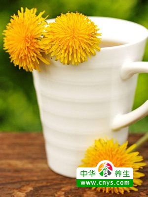 保健养生要喝五种花草茶,给你心情舒畅身心健康