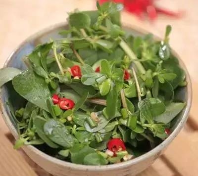 春天养生食谱强烈推荐  营养成分又美味可口的八款“芽” 菜