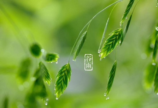 骨玉季节 健康养生理应以补为主