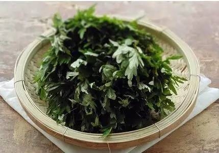 春季饮茶小良方  强烈推荐十款身心健康保健茶