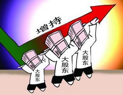 什么是股东 股份公司是什么