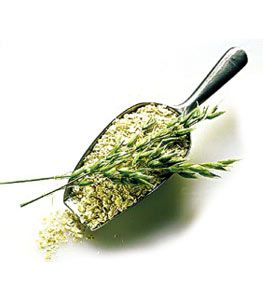 春季巧养生：多吃应季菜