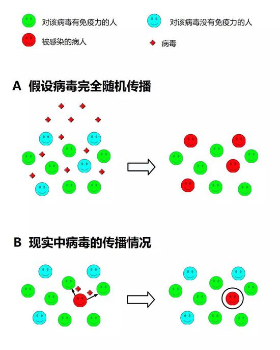 什么是群体免疫?否可以用来抵抗新冠病毒?