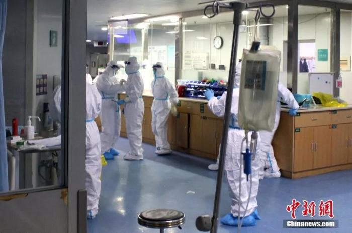 病毒活5天？宠物是否会将病毒传染给人？听医学专家怎么说
