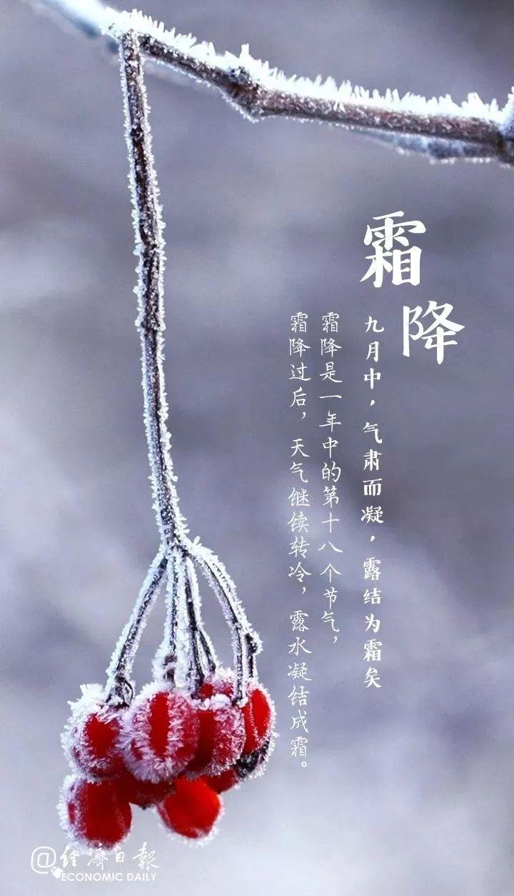 今日迎来霜降节气 全国将开启降温周模式