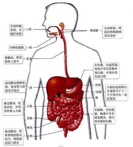 知否