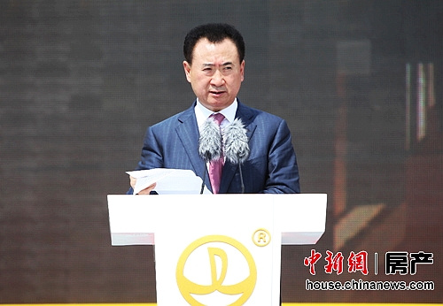 王健林：谁信中国房地产       那脑袋就有问题了