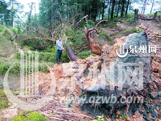 安溪桃舟冰雹从天降 据测算威力比超子弹出膛
