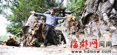 泉州沿海 10级大风10米狂涛